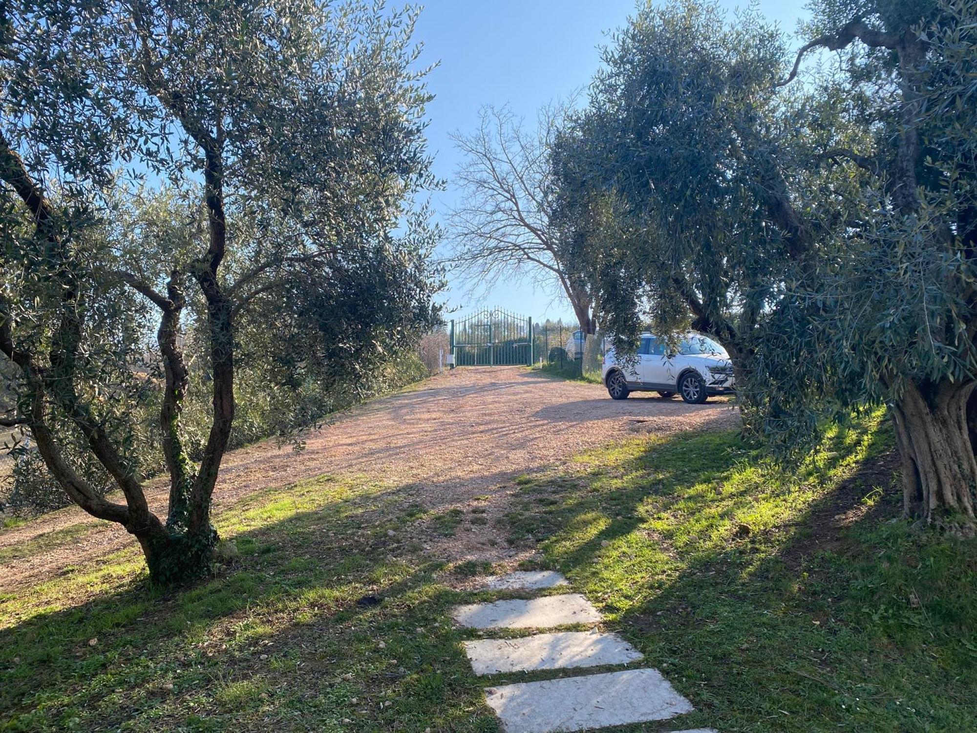 Residenza Cipressi E Olivi Apartamento Verona Exterior foto